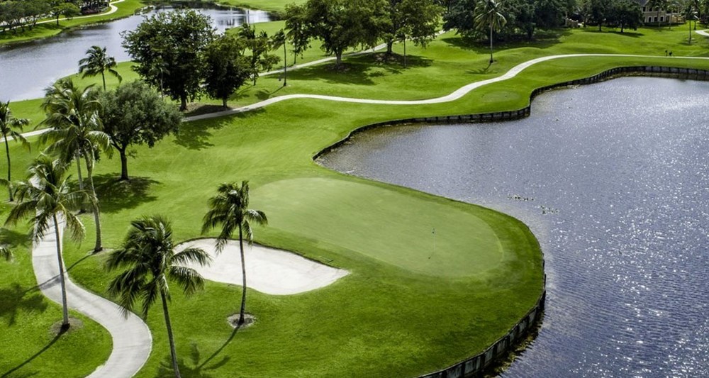 Foursome at The Club at Weston Hills